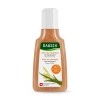RAUSCH After Sun-Shampoo Weizenkeim Reisegrösse, 40 ml