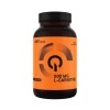 QNT l-carnitine capsules 500 mg 60 pièces