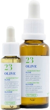 PHYTOMED Bachblüten No23 Olive Flasche, 10 ml