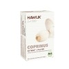 HAWLIK Coprinus Extrakt + Pulver Kapseln, 60 Stück