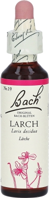 FLEURS DE BACH original larch no19 20 ml
