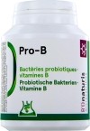 BIONATURIS pro-b capsules 4.8 mia+vit B capsules 240 pièces
