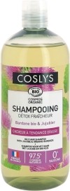 COSLY'S Shampoo für fettendes Haar mit Bio-Klette & Jujube, 500 ml