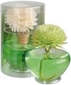 ESSENCE OF NATURE Coffret Classique Sesbania Floralia, 200 ml
