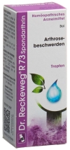 RECKEWEG R73 Spondarthrin Tropfen Fl 50 ml