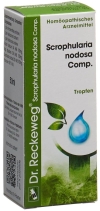 RECKEWEG R17 Scrophularia nod Comp. Tropfen 50 ml
