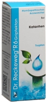 RECKEWEG R6 Gripfektan Tropfen Fl 50 ml