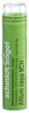 SN Allium cepa Gran CH 9 4 g
