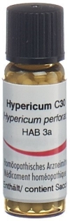 OMIDA Hypericum Glob C 30 2 g