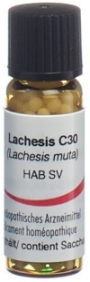 OMIDA Lachesis Glob C 30 2 g