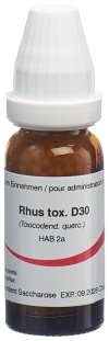 OMIDA rhus toxicodendron globules D30, 14 g