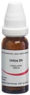 OMIDA Urtica urens Glob D 6 14 g