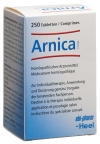 ARNICA COMP Heel Tabletten, 250 Stück
