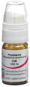 OMIDA Phytolacca Globuli C30 mit Dosierhilfe, 4 g
