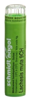SN Lachesis muta Gran CH 9 4 g