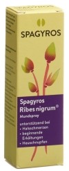 SPAGYROS Ribes nigrum Mundspray D1, 30 ml
