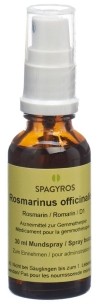SPAGYROS GEMMO Rosmarinus officinalis Glycerinmazerat D1, 30 ml