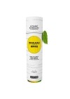ZUCCARI BOULEAU Complex BIRKE Stick10 ml, 25 Stück