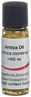 OMIDA Arnica Glob D 6 2 g