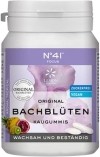 BIOLIGO Dr Bach chewing-gum concentration, 60 g