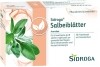 Sidroga Salbeiblätter Beutel, 20 Stück