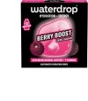 WATERDROP Microenergy Berry Boost, 12 pièces