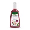 Rausch Farbschutz Shampoo mit Wildrose, 200 ml