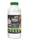 GESAL Brennnessel-Extrakt Konzentrat, 1 lt