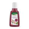 Rausch Farbschutz Shampoo mit Wildrose, 40 ml