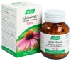VOGEL Echinaforce Resistenz Erkältung forte Tabletten, 120 Stück