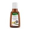 RAUSCH SHAMPOOING ANTIPELLICULAIRE au tussilage 40 ml