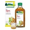 Schoenenberger Gingembre boisson naturelle de plantes fraîches Bio, 200 ml