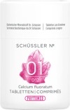 PHYTOMED SCHÜSSLER Nr1 Calc fluor Tabl D 12 100 g