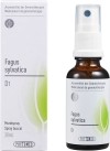 PHYTOMED GEMMO Fagus sylvatica liq D 1 Spr 30 ml