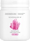 PHYTOMED SCHÜSSLER Kompl Triturat Nr1-12 500 g
