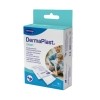 DermaPlast Clean Wundreinigungstücher, 10 Stück