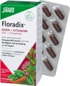Floradix Eisen + Vitamine Kapseln