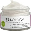 TEAOLOGY Tea Glow Blemish Cream, 50 ml