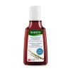 RAUSCH SHAMPOOING SPÉCIAL à l'écorce de saule 40 ml