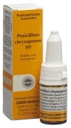 SANUM Penicillium chrysogenum Tropfen D5, 10 ml
