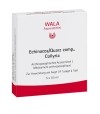 WALA Echinacea/Quarz comp Augentropfen Monodosen, 5 x 0.5 ml
