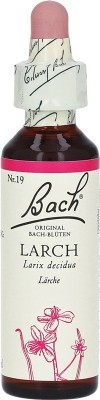 Bachblüten Original Larch No19
