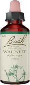 Bachblüten Original Walnut No33, 10 ml