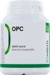 Bionaturis OPC Traubenkerne Kapseln 100 mg, 120 Stück