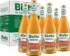 BIOTTA Mango Mix Bio 6 5 dl