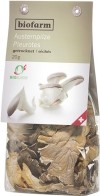 Biofarm Pleurotes, bourgeon CH