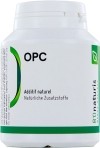 BIONATURIS opc de pép raisins capsules 100 mg 120 pièces