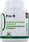 BIONATURIS pro-b capsules 4.8 mia+vit B capsules 120 pièces