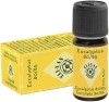 ELIXAN eucalyptus 80/85 huile 10 ml