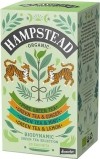 Hampstead Tea Bio Grüntee Selection Beutel, 20 Stück
